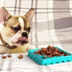 Hanamya Slow Treat Dispensing Dog & Cat Mat -Cozy Paws 317946 PT2. AC SS1800 V1628029604