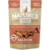 Nature's Diet Salmon Raw Freeze-Dried Dog Treats, 2-oz Pouch -Cozy Paws 318163 MAIN. AC SS1800 V1628805202
