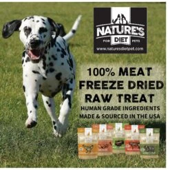 Nature's Diet Salmon Raw Freeze-Dried Dog Treats, 2-oz Pouch -Cozy Paws 318163 PT4. AC SS1800 V1628804791