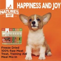 Nature's Diet Salmon Raw Freeze-Dried Dog Treats, 2-oz Pouch -Cozy Paws 318163 PT6. AC SS1800 V1628805090