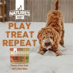 Nature's Diet Salmon Raw Freeze-Dried Dog Treats, 2-oz Pouch -Cozy Paws 318163 PT7. AC SS1800 V1628806717