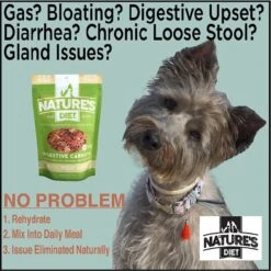 Nature's Diet Digestive Relief & Anit-Diarhea Carrots Raw Freeze-Dried Dog Treats, 6-oz Pouch -Cozy Paws 318179 PT2. AC SS1800 V1628805790
