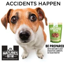 Nature's Diet Digestive Relief & Anit-Diarhea Carrots Raw Freeze-Dried Dog Treats, 6-oz Pouch -Cozy Paws 318179 PT3. AC SS1800 V1628802099