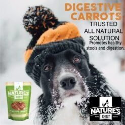 Nature's Diet Digestive Relief & Anit-Diarhea Carrots Raw Freeze-Dried Dog Treats, 6-oz Pouch -Cozy Paws 318179 PT4. AC SS1800 V1628804820