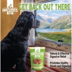 Nature's Diet Digestive Relief & Anit-Diarhea Carrots Raw Freeze-Dried Dog Treats, 6-oz Pouch -Cozy Paws 318179 PT5. AC SS1800 V1628805797