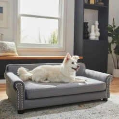Frisco Sofa Pet Bed With Removable Cover & Frisco Eyelash Cat & Dog Blanket -Cozy Paws 319504 PT4. AC SS1800 V1630625195