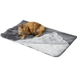Frisco Sofa Pet Bed With Removable Cover & Frisco Eyelash Cat & Dog Blanket -Cozy Paws 319504 PT5. AC SS1800 V1630619791