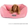 Nandog Reversible Design Cat & Dog Bed 2 Nandog Reversible Design Cat & Dog Bed -Cozy Paws 321776 MAIN. AC SS1800 V1697136241