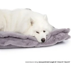 Nandog Cloud Collection Pillow Dog Bed -Cozy Paws 321794 PT2. AC SS1800 V1683313180