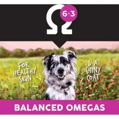 Ultimates Lamb Meal & Brown Rice Dry Dog Food -Cozy Paws 322683 PT6. AC SS1800 V1635183095