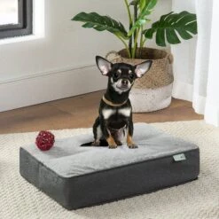 Zinus UltraPlush Green Tea Dog Bed, Grey, 5-in -Cozy Paws 327439 PT2. AC SS1800 V1631590311