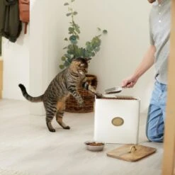 Frisco Premium Airtight Dog & Cat Food Storage Canister With Scoop -Cozy Paws 331486 PT3. AC SS1800 V1657656891