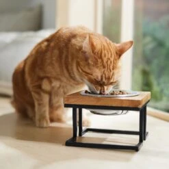 Frisco Premium Wood Elevated Single Dog & Cat Bowl 12 Frisco Premium Wood Elevated Single Dog & Cat Bowl -Cozy Paws 331493 PT3. AC SS1800 V1657656892