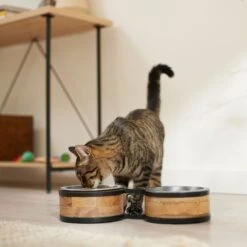 Frisco Premium Elevated Bone Design Stainless Steel Double Diner Dog & Cat Bowl -Cozy Paws 331499 PT3. AC SS1800 V1657656892