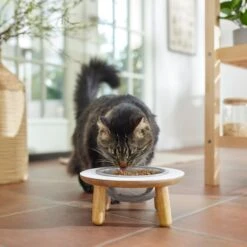 Frisco Premium Round Shape Elevated Single Dog & Cat Bowl -Cozy Paws 331502 PT3. AC SS1800 V1657656892