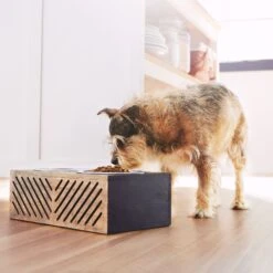 Frisco Premium Wood Elevated Stainless Steel Double Diner Dog & Cat Bowl, Black, 3 Cup -Cozy Paws 331509 PT2. AC SS1800 V1657656894