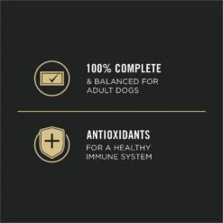 Purina Pro Plan Sport High Protein Beef & Bison Entrée Wet Dog Food -Cozy Paws 331800 PT5. AC SS1800 V1632339683