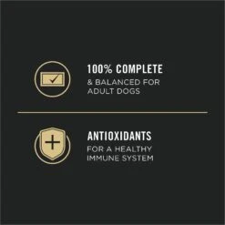 Purina Pro Plan Sport High Protein Variety Pack Wet Dog Food -Cozy Paws 331808 PT7. AC SS1800 V1632338177