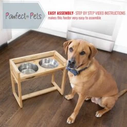 Pawfect Pets Adjustable Height Elevated Raised Dog Bowl Stand With Four Stainless Steel Bowls, Large -Cozy Paws 333592 PT3. AC SS1800 V1634079424