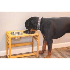 Pawfect Pets Adjustable Height Elevated Raised Dog Bowl Stand With Four Stainless Steel Bowls, Large -Cozy Paws 333592 PT6. AC SS1800 V1634080928