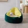 Frisco Avocado Cat & Dog Bed -Cozy Paws 333856 MAIN. AC SS1800 V1658717997