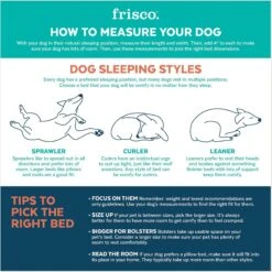 Frisco Avocado Cat & Dog Bed -Cozy Paws 333856 PT3. AC SS1800 V1658716782