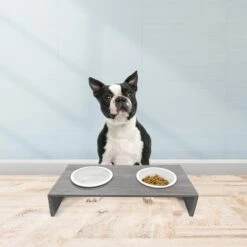 Cosmo Furbabies Double Dog & Cat Diner, Gray -Cozy Paws 341993 PT5. AC SS1800 V1636063012