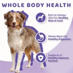 Halo Stew Variety Pack Canned Dog Food, 13.2-oz Can, Case Of 6 -Cozy Paws 342115 PT4. AC SS1800 V1634848113