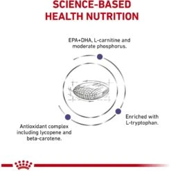 Royal Canin Veterinary Diet Adult Mature Consult Large Breed Dry Dog Food -Cozy Paws 344036 PT3. AC SS1800 V1684409975