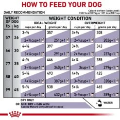 Royal Canin Veterinary Diet Adult Mature Consult Large Breed Dry Dog Food -Cozy Paws 344036 PT6. AC SS1800 V1684410989