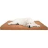 Pet Adobe Foam Covered Dog Bed -Cozy Paws 344921 MAIN. AC SS1800 V1637283134