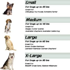 Pet Adobe Foam Covered Dog Bed -Cozy Paws 344921 PT4. AC SS1800 V1637283704