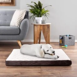 Pet Adobe Bamboo Charcoal-Infused Foam Covered Dog Bed -Cozy Paws 344923 PT5. AC SS1800 V1637280823