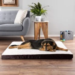 Pet Adobe Odor Resistant Orthopedic Covered Dog Bed -Cozy Paws 344968 PT5. AC SS1800 V1637282555