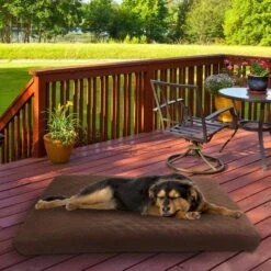 Pet Adobe Waterproof Indoor/Outdoor Memory Foam Dog Bed -Cozy Paws 345008 PT5. AC SS1800 V1637279572