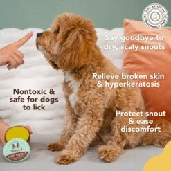 Natural Dog Company Snout Soother Dog Healing Balm -Cozy Paws 346269 PT2. AC SS1800 V1701882926