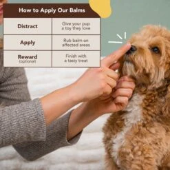 Natural Dog Company Snout Soother Dog Healing Balm -Cozy Paws 346269 PT3. AC SS1800 V1701882928