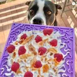 SodaPup Emat Bones Dog Lick Mat -Cozy Paws 346969 PT3. AC SS1800 V1638305499