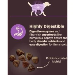 Wellness CORE Digestive Health Age Advantage Senior Chicken & Brown Rice Dry Dog Food -Cozy Paws 347656 PT3. AC SS1800 V1638466030