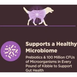 Wellness CORE Digestive Health Age Advantage Senior Chicken & Brown Rice Dry Dog Food -Cozy Paws 347656 PT4. AC SS1800 V1638465814