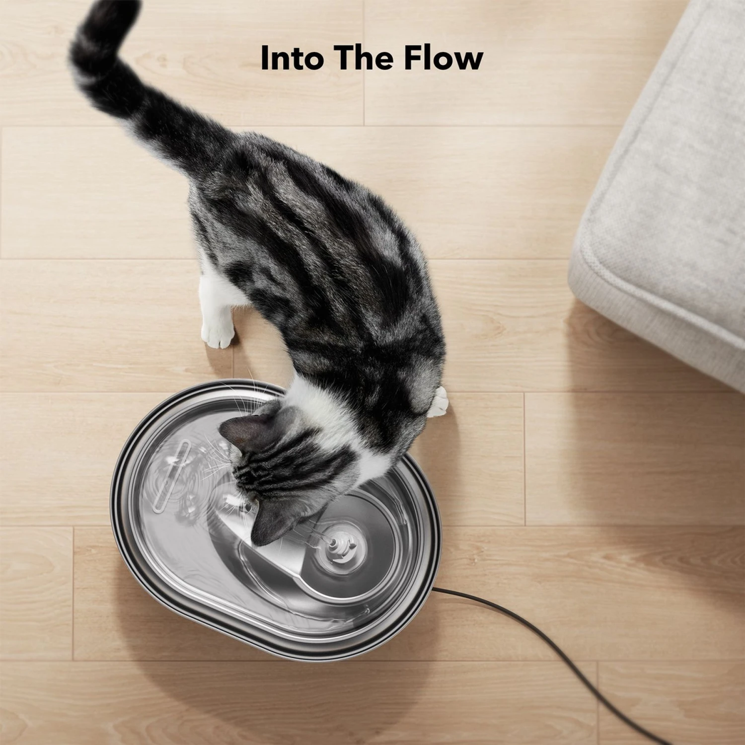 Petlibro Stainless Steel Dog & Cat Water Fountain, 2-L 11 Petlibro Stainless Steel Dog & Cat Water Fountain, 2-L - Image 9