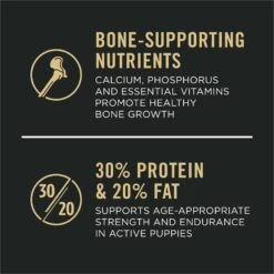 Purina Pro Plan Sport Development High-Protein 30/20 Chicken & Rice Formula Puppy Food -Cozy Paws 352972 PT5. AC SS1800 V1649204257