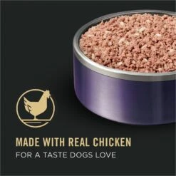 Purina Pro Plan Sport Puppy High Protein Chicken & Rice Wet Dog Food, 13-oz Can, Case Of 12 -Cozy Paws 352974 PT1. AC SS1800 V1638471087