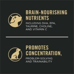 Purina Pro Plan Sport Development Large Breed High-Protein 30/18 Chicken & Rice Formula Puppy Food -Cozy Paws 352983 PT8. AC SS1800 V1661831642