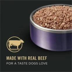 Purina Pro Plan Sport Development Puppy High Protein Beef & Rice Wet Dog Food, 13-oz Can, Case Of 12 12 Purina Pro Plan Sport Development Puppy High Protein Beef & Rice Wet Dog Food, 13-oz Can, Case Of 12 -Cozy Paws 352991 PT1. AC SS1800 V1638470809