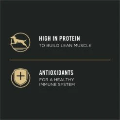 Purina Pro Plan Sport Development Puppy High Protein Beef & Rice Wet Dog Food, 13-oz Can, Case Of 12 14 Purina Pro Plan Sport Development Puppy High Protein Beef & Rice Wet Dog Food, 13-oz Can, Case Of 12 -Cozy Paws 352991 PT3. AC SS1800 V1638474693