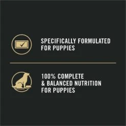 Purina Pro Plan Sport Development Puppy High Protein Beef & Rice Wet Dog Food, 13-oz Can, Case Of 12 18 Purina Pro Plan Sport Development Puppy High Protein Beef & Rice Wet Dog Food, 13-oz Can, Case Of 12 -Cozy Paws 352991 PT7. AC SS1800 V1638480406