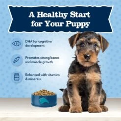 Blue Buffalo Baby Blue Healthy Growth Formula Natural Chicken & Brown Rice Recipe Puppy Dry Food -Cozy Paws 354131 PT3. AC SS1800 V1704319768
