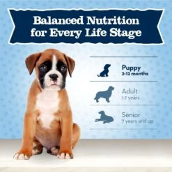 Blue Buffalo Baby Blue Healthy Growth Formula Natural Chicken & Brown Rice Recipe Puppy Dry Food -Cozy Paws 354131 PT7. AC SS1800 V1704319713