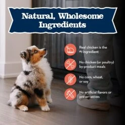 Blue Buffalo Baby Blue Large Breed Healthy Growth Formula Natural Chicken & Brown Rice Recipe Puppy Dry Food, 24-lb Bag -Cozy Paws 354132 PT5. AC SS1800 V1646091698